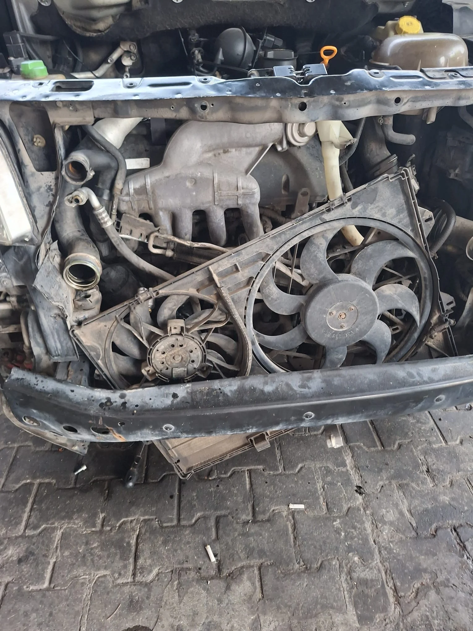 galeri_20260307_105140_3f9b24c46f748d790650